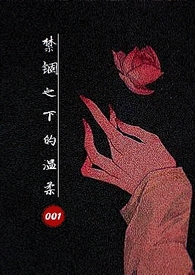 温柔禁锢txt网盘